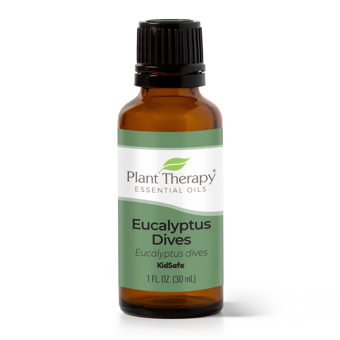 Plant Therapy - Eucalyptus Dives Essential Oil