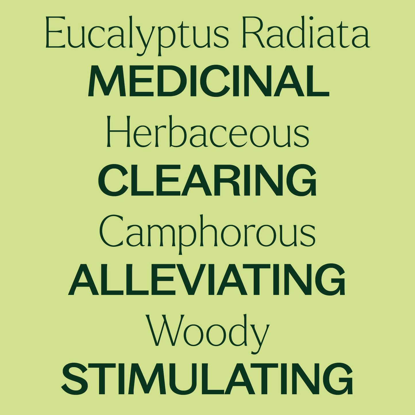 Plant Therapy - Eucalyptus Radiata Essential Oil