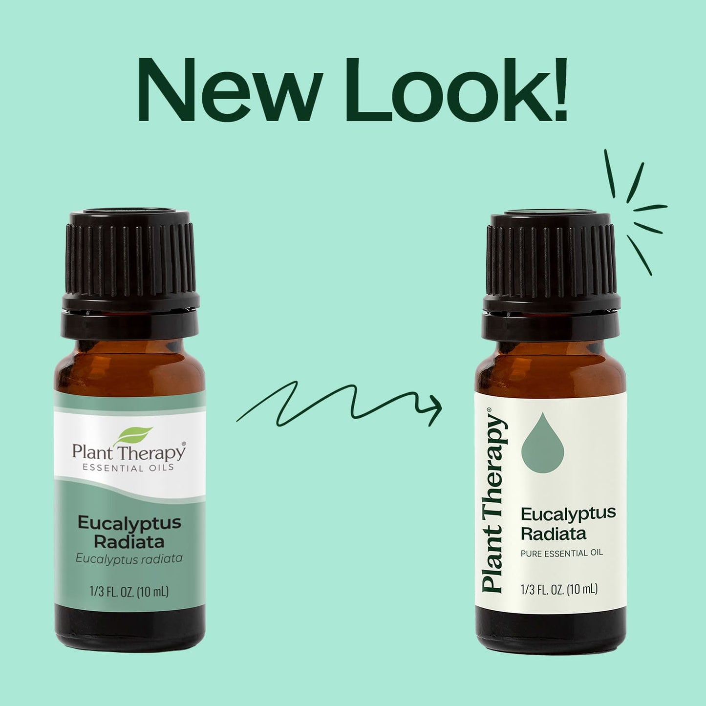Plant Therapy - Eucalyptus Radiata Essential Oil