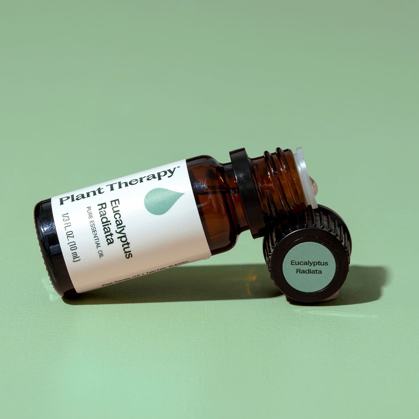 Plant Therapy - Eucalyptus Radiata Essential Oil