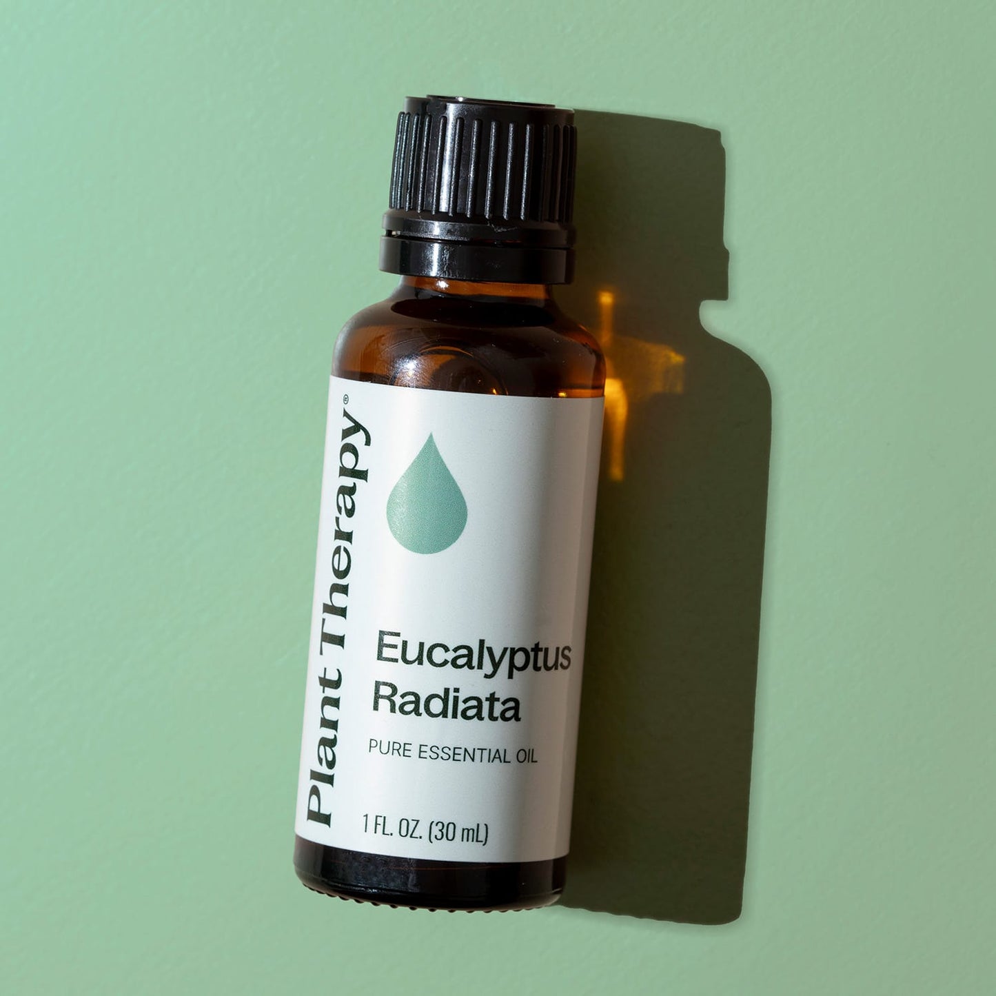 Plant Therapy - Eucalyptus Radiata Essential Oil