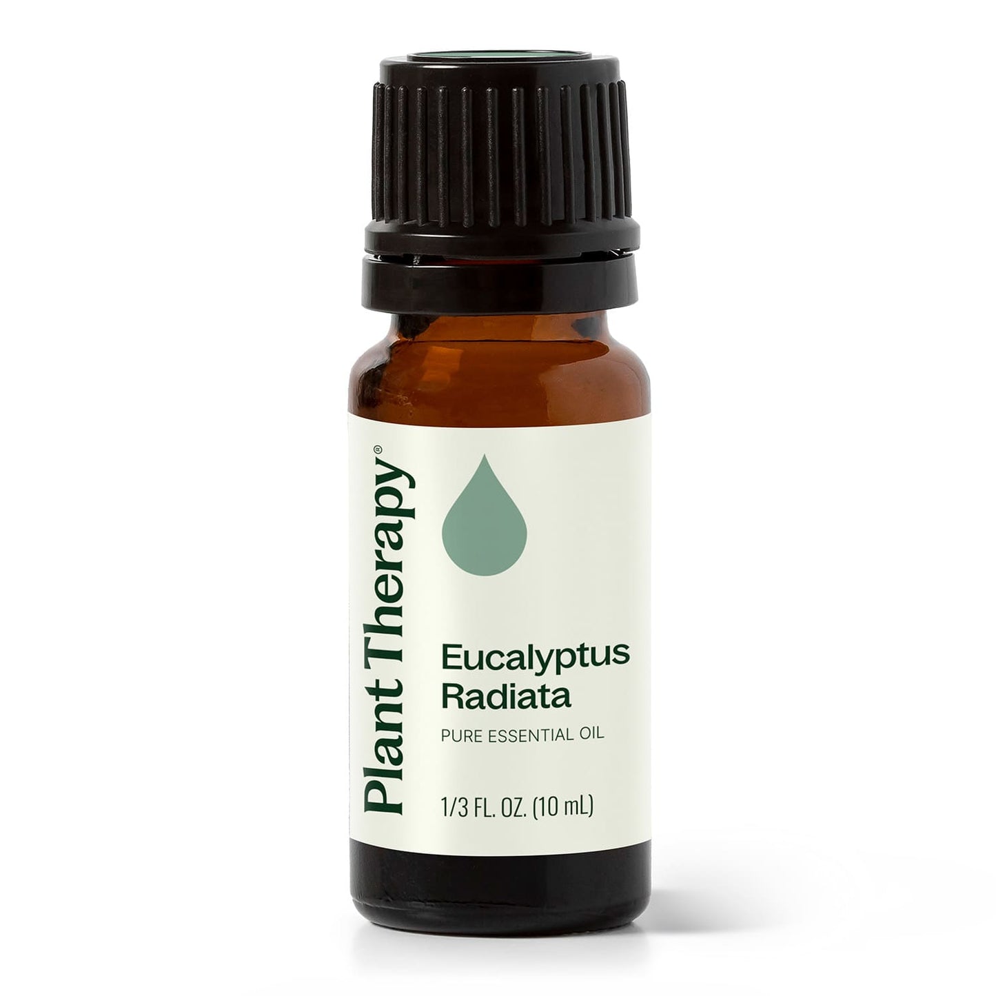 Plant Therapy - Eucalyptus Radiata Essential Oil