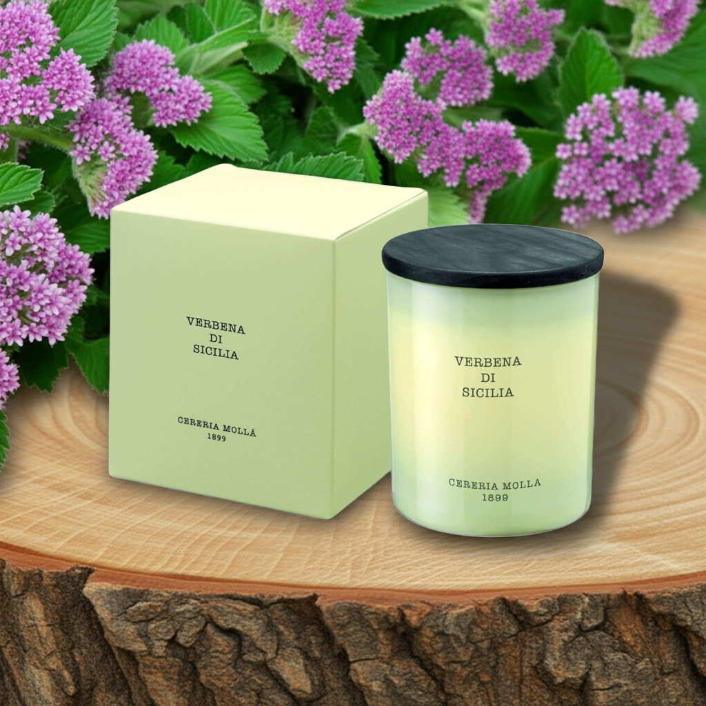 Cereria Molla - Verbena di Sicilia Ivory Premium Candle - 8 oz / 230 g