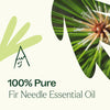 Plant Therapy - Fir Needle Essential Oil