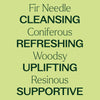 Plant Therapy - Fir Needle Essential Oil