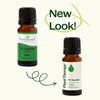 Plant Therapy - Fir Needle Essential Oil