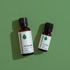 Plant Therapy - Fir Needle Essential Oil