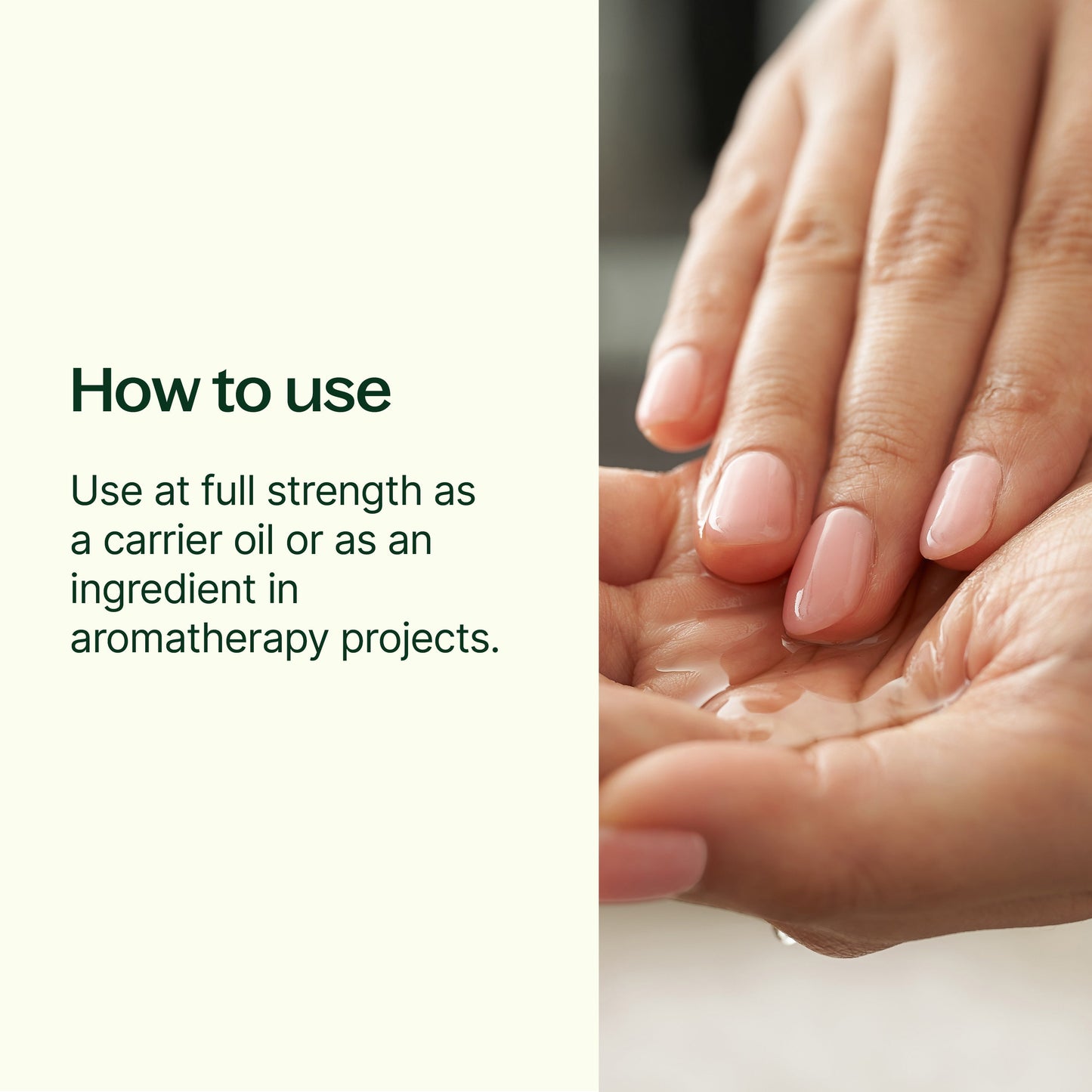 Plant Therapy - Fractionated Coconut Carrier Oil