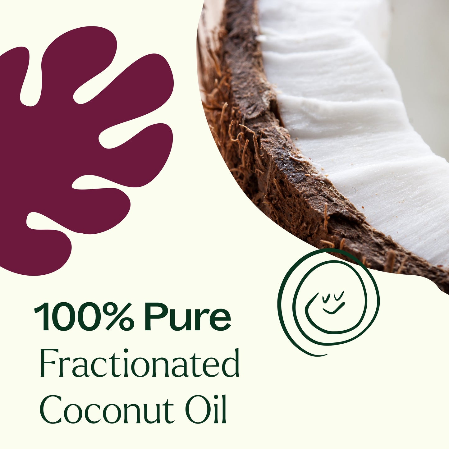 Plant Therapy - Fractionated Coconut Carrier Oil