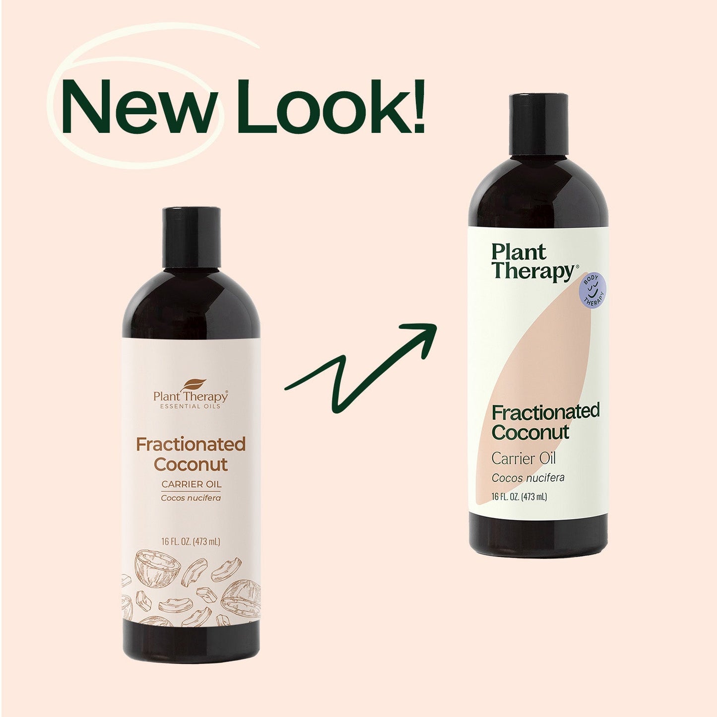 Plant Therapy - Fractionated Coconut Carrier Oil