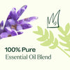 Plant Therapy - Germ Destroyer KidSafe Essential Oil