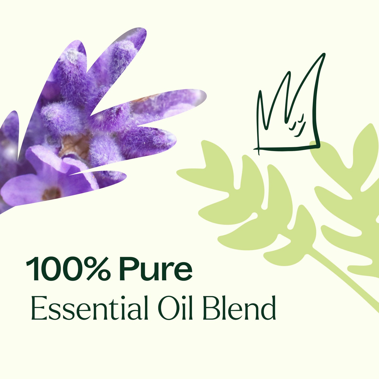 Plant Therapy - Germ Destroyer KidSafe Essential Oil