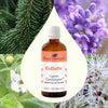 Plant Therapy - Germ Destroyer KidSafe Essential Oil