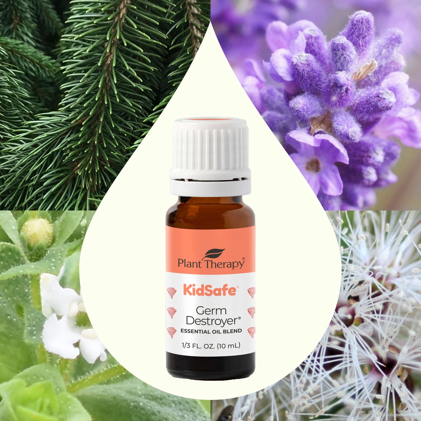Plant Therapy - Germ Destroyer KidSafe Essential Oil