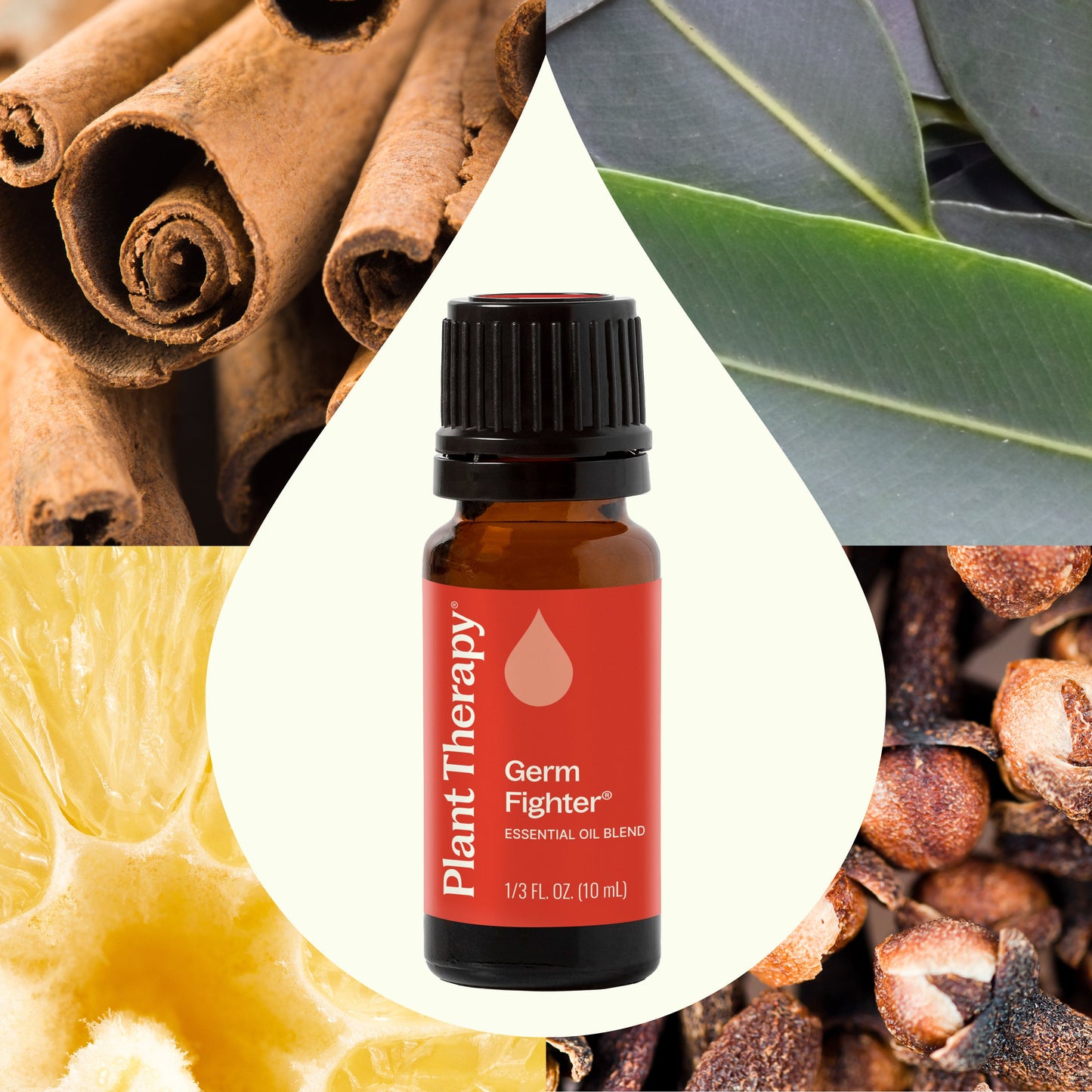 Plant Therapy - Germ Fighter Essential Oil Blend
