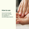 Plant Therapy - Golden Jojoba Carrier Oil