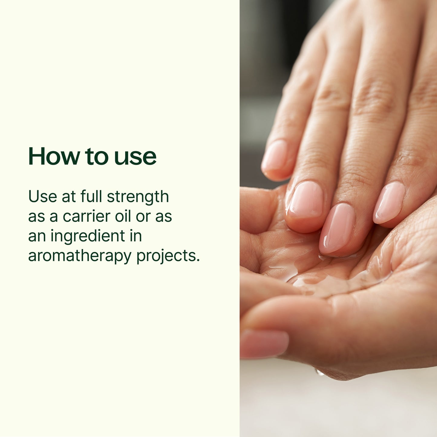 Plant Therapy - Golden Jojoba Carrier Oil
