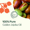 Plant Therapy - Golden Jojoba Carrier Oil