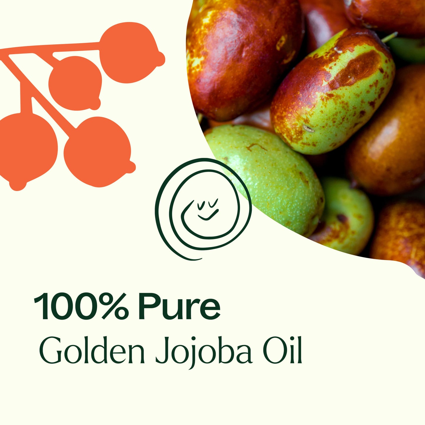 Plant Therapy - Golden Jojoba Carrier Oil