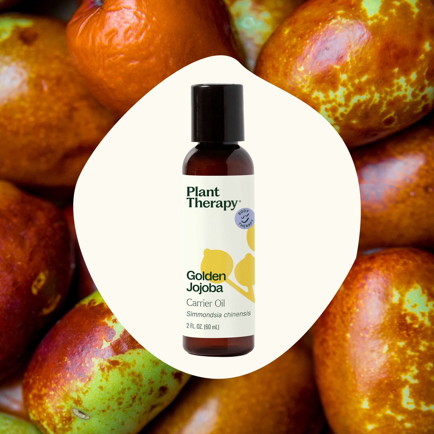 Plant Therapy - Golden Jojoba Carrier Oil