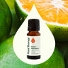 Plant Therapy - Green Mandarin Essential Oil