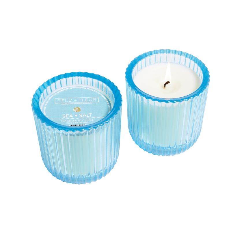 Hillhouse Naturals - SEA SALT 1 WICK COLORED GLASS CANDLE 8oz