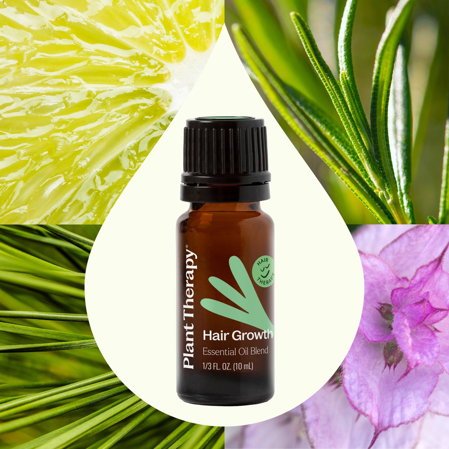 Plant Therapy - Hair Growth Essential Oil Blend - Shampoo Booster