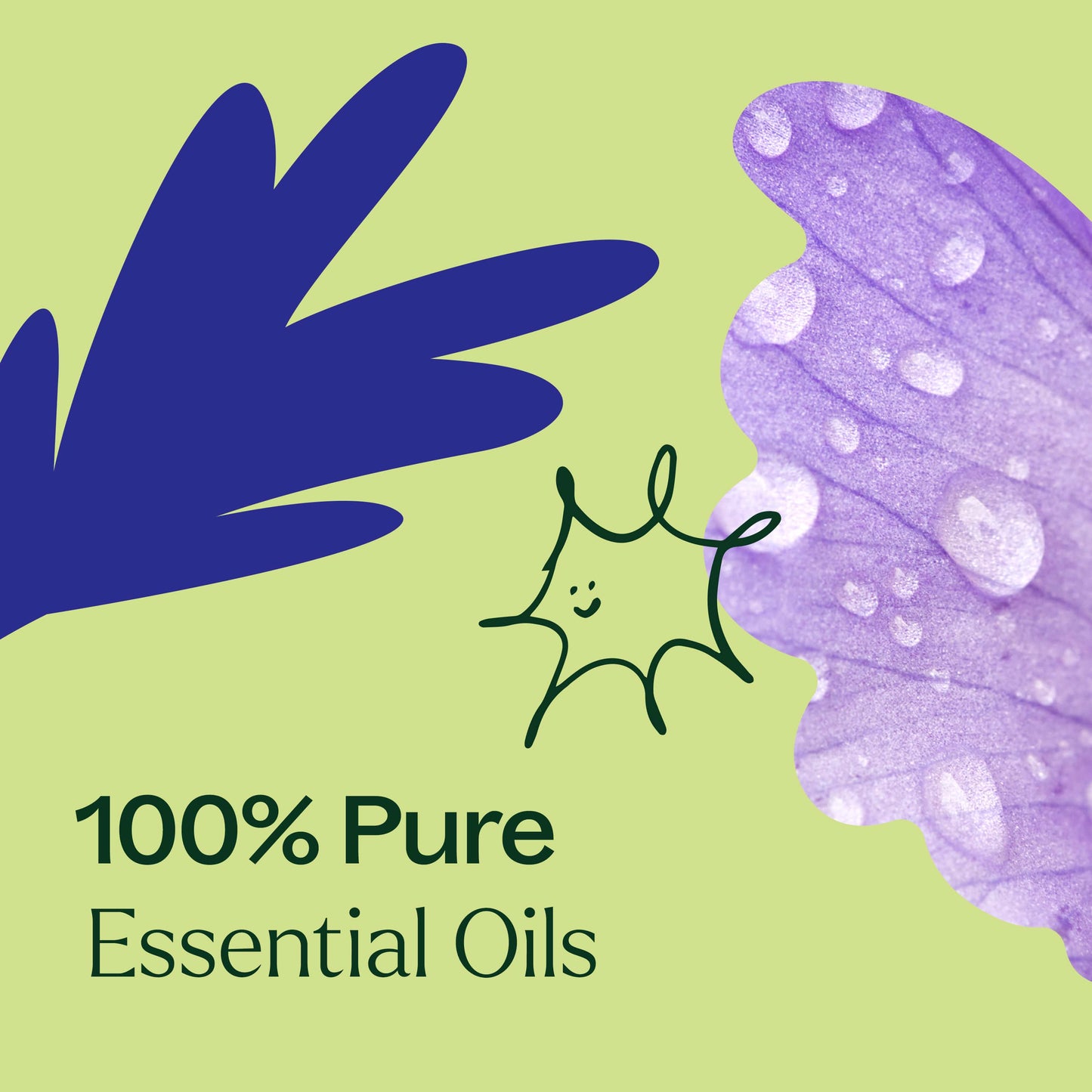 Plant Therapy - Hair Growth Essential Oil Blend - Shampoo Booster