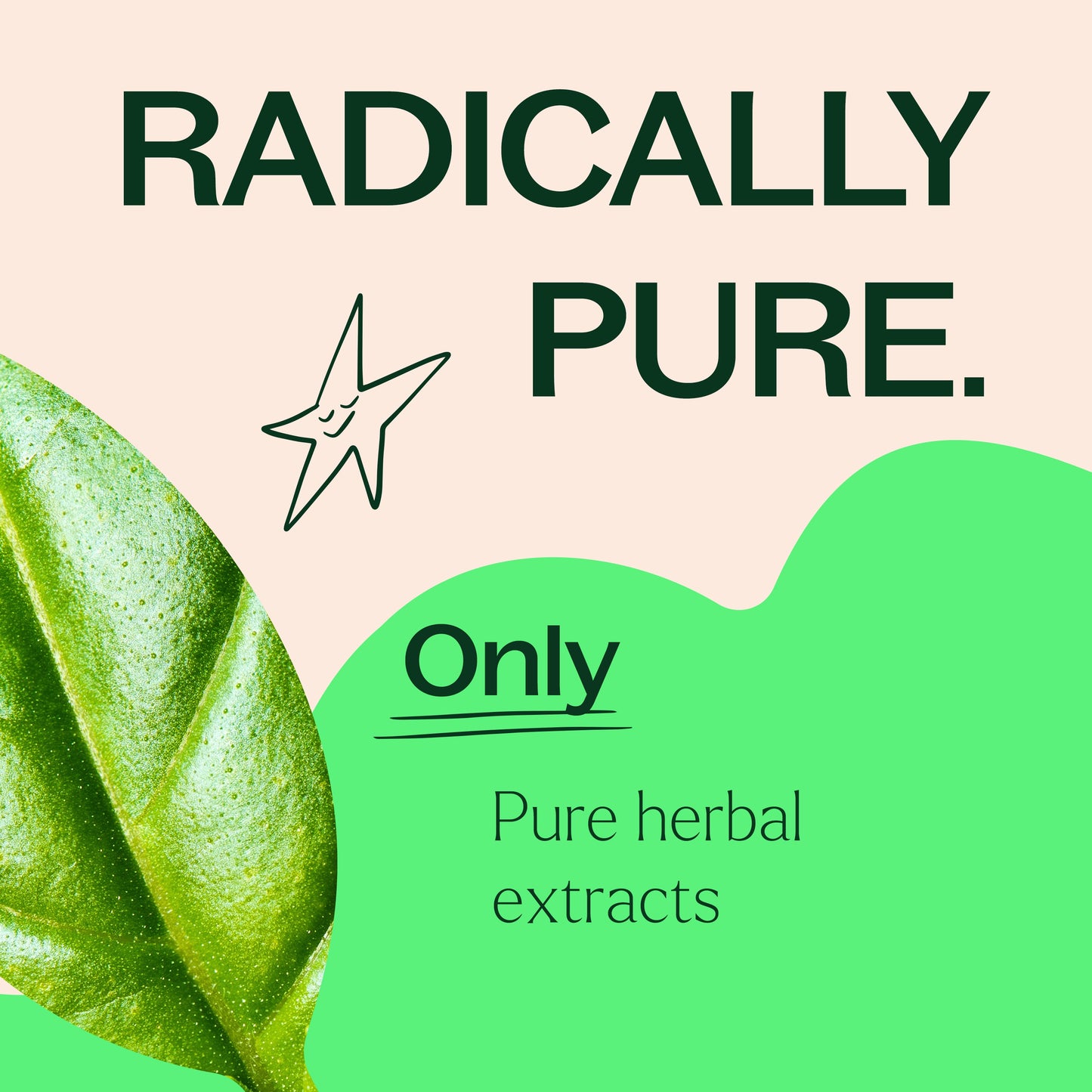 Plant Therapy - Holy Basil Herbal Supplement - 120 Capsules