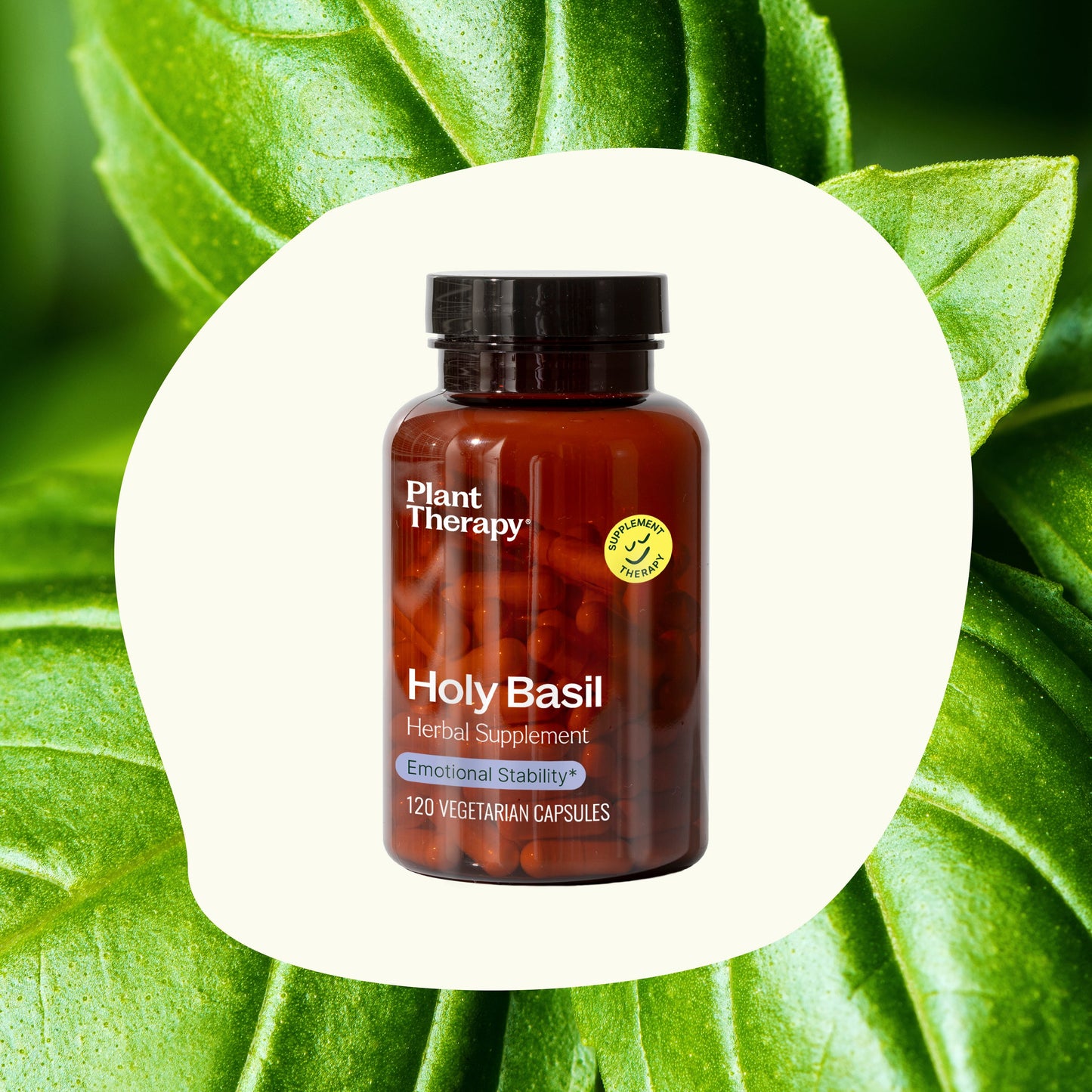 Plant Therapy - Holy Basil Herbal Supplement - 120 Capsules