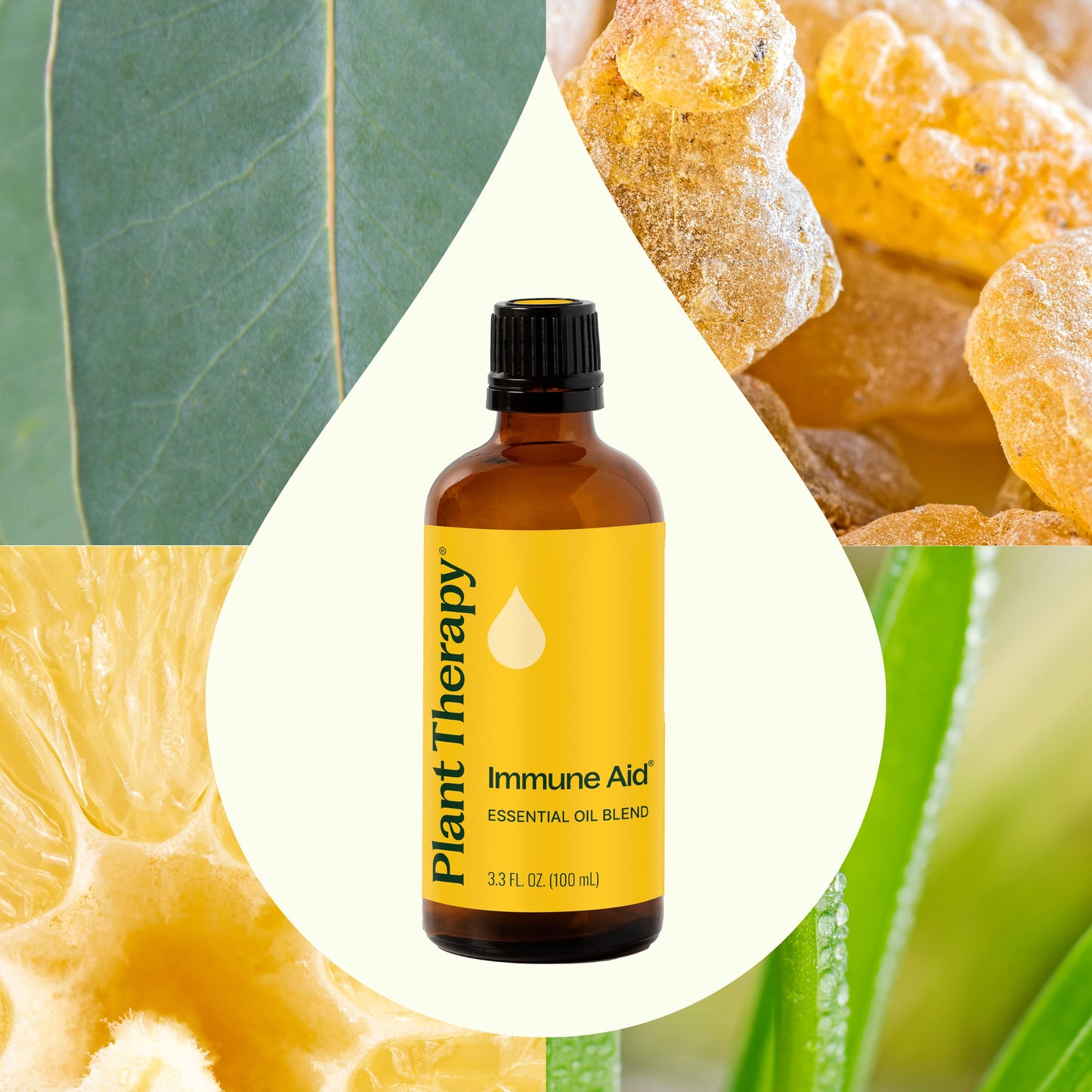 Plant Therapy - Immune Aid Essential Oil Blend