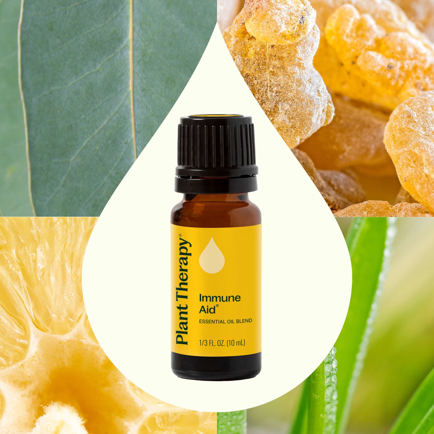 Plant Therapy - Immune Aid Essential Oil Blend