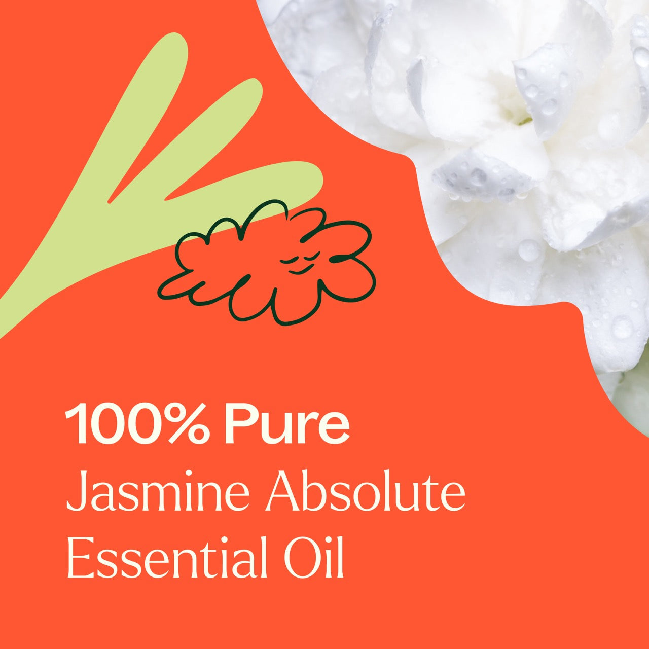 Plant Therapy - Jasmine Absolute Essential Oil