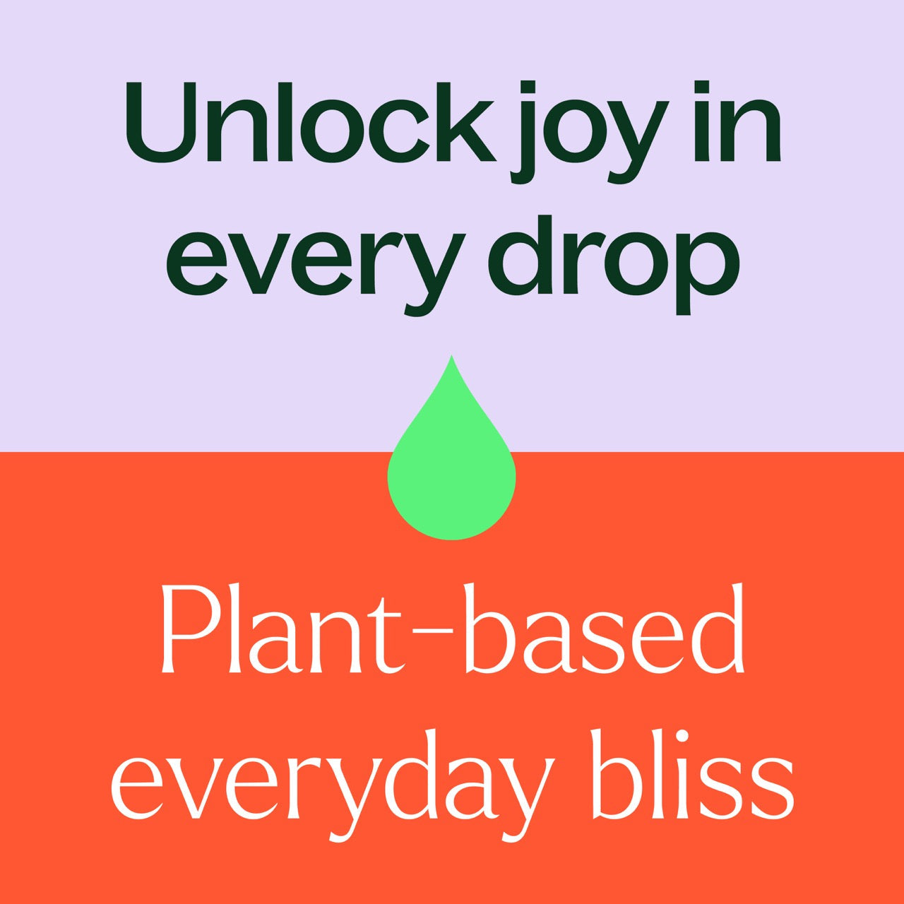 Plant Therapy - Jasmine Absolute Essential Oil