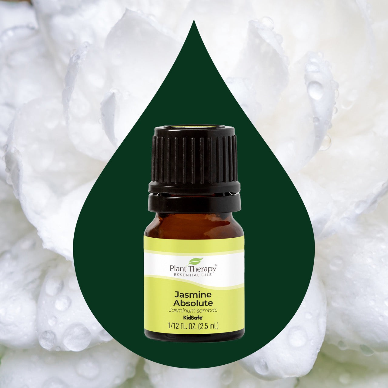 Plant Therapy - Jasmine Absolute Essential Oil