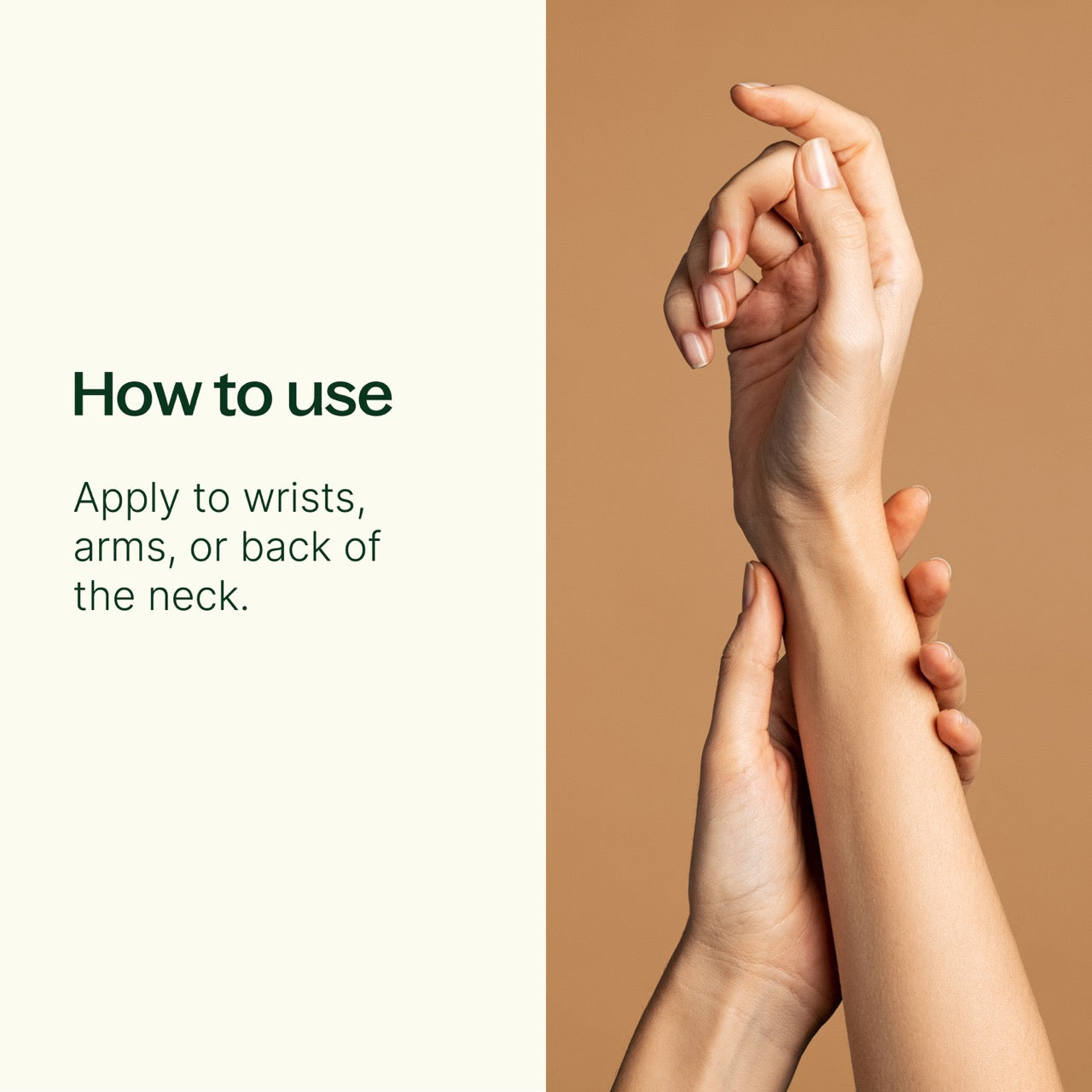 Plant Therapy - Jasmine Absolute Pre-Diluted Roll-On