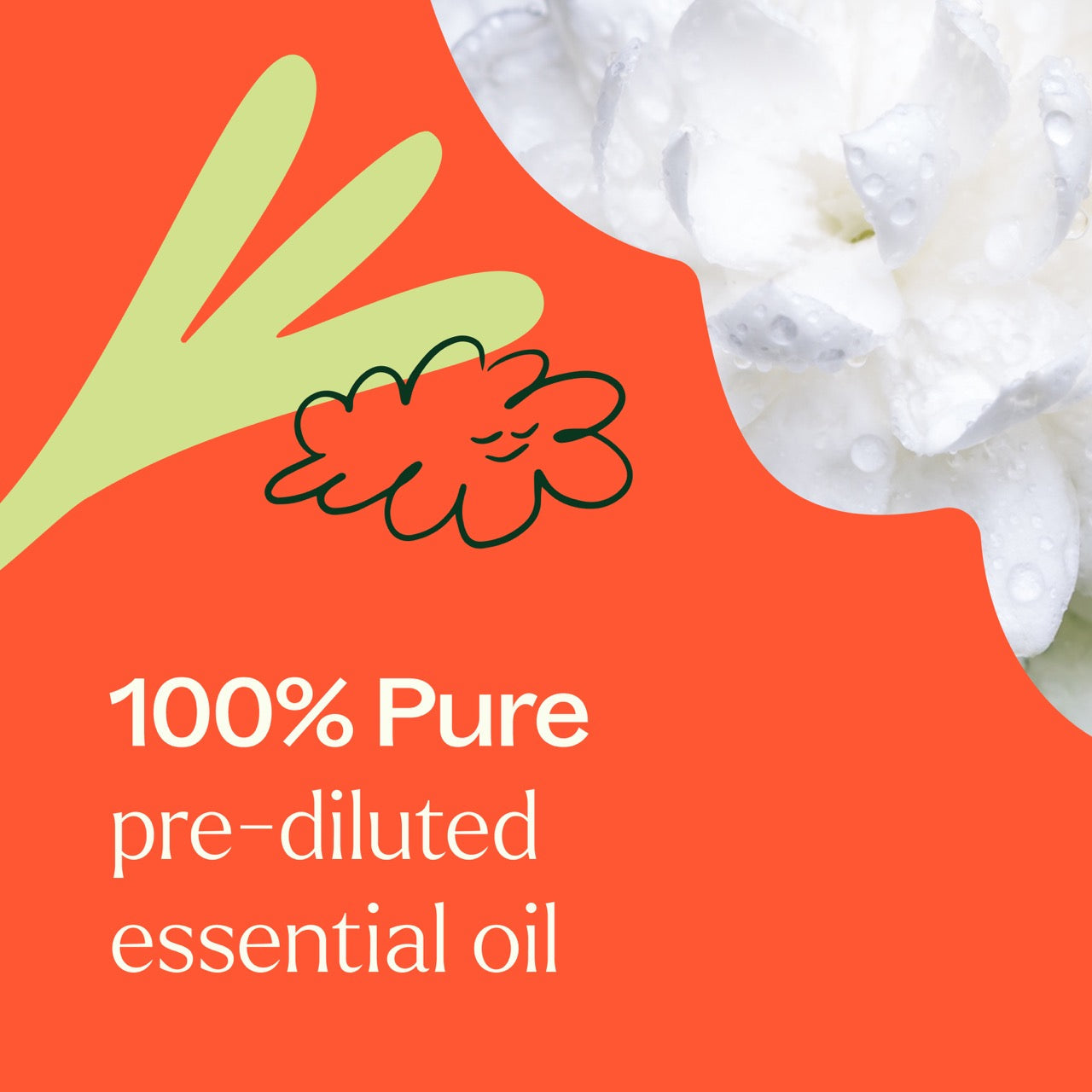 Plant Therapy - Jasmine Absolute Pre-Diluted Roll-On