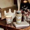Baobab Collection - Candle Sand Sonora - Saffron - Myrrh - Patchouli