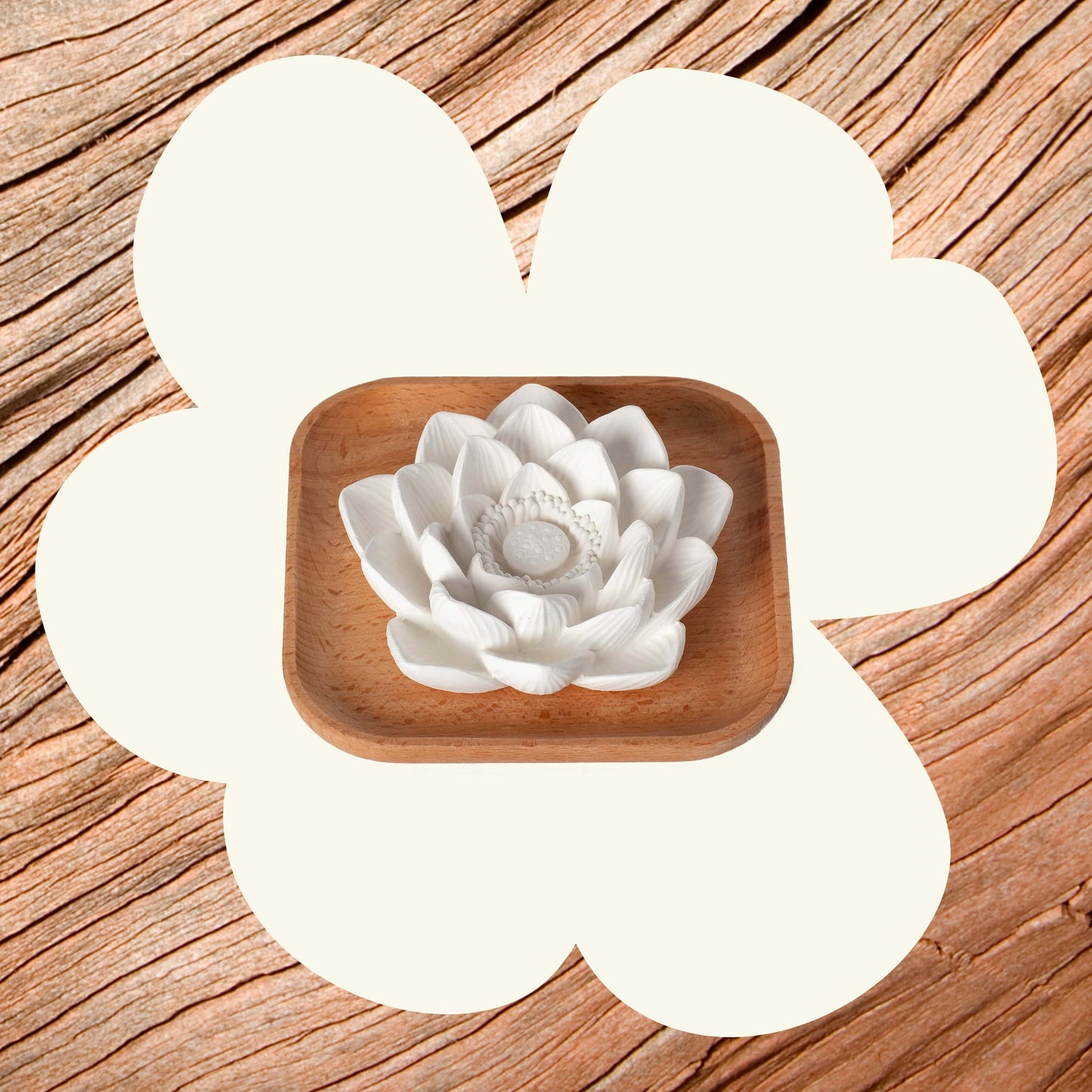 Plant Therapy - Passive Lotus Diffuser