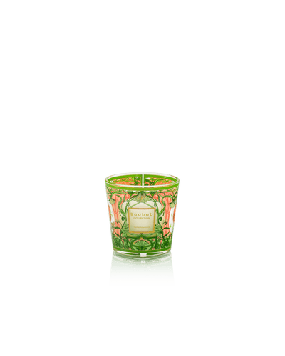 Baobab Collection - Candle My First Baobab Tomorrowland - Lily of the valley-Moss-Pear - MAX08 - Tarvos Boutique