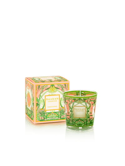 Baobab Collection - Candle My First Baobab Tomorrowland - Lily of the valley-Moss-Pear - MAX08 - Tarvos Boutique