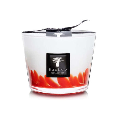 Baobab Collection - Candle Feathers Maasai - Patchouli-Rum Extract-Amber - MAX10 | Tarvos Boutique (Miami, FL) - Tarvos Boutique