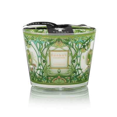 Baobab Collection - Candle Tomorrowland - Lily of the valley-Moss-Pear - MAX10 - Tarvos Boutique