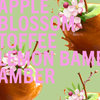 Shay & Blue - Melrose Apple Blossom Fragrance 3.4oz