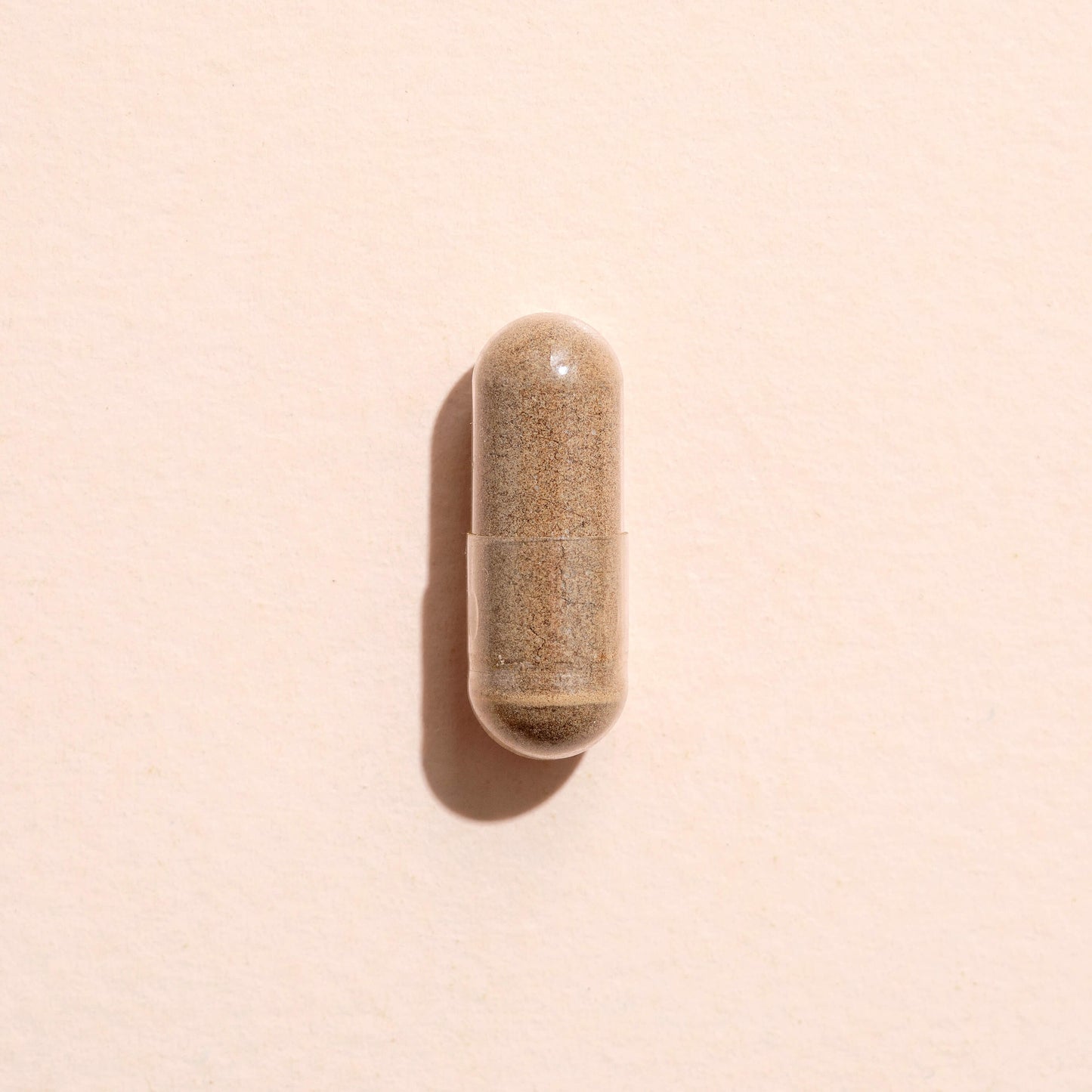 Plant Therapy - Moringa Herbal Supplement - 120 Capsules