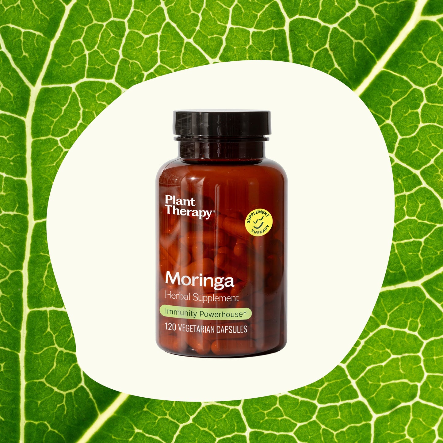 Plant Therapy - Moringa Herbal Supplement - 120 Capsules