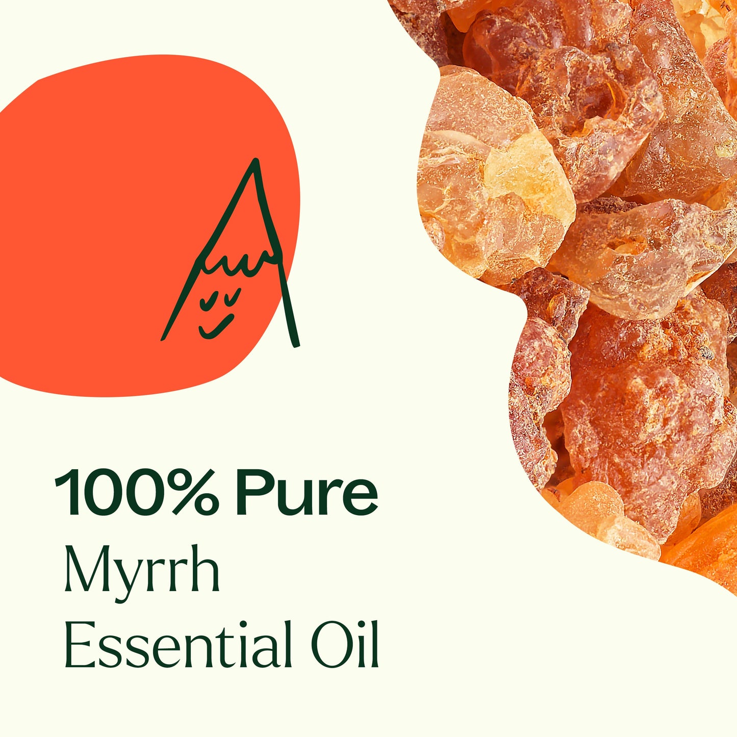 Plant Therapy - Myrrh Essential Oil
