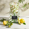 NEST New York - Santorini Olive & Citron Classic Candle Candle