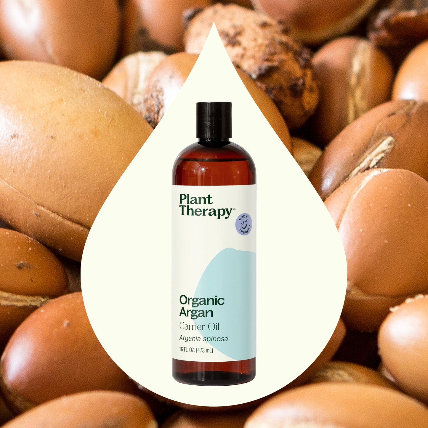 Plant Therapy - Organic Argan Carrier Oil