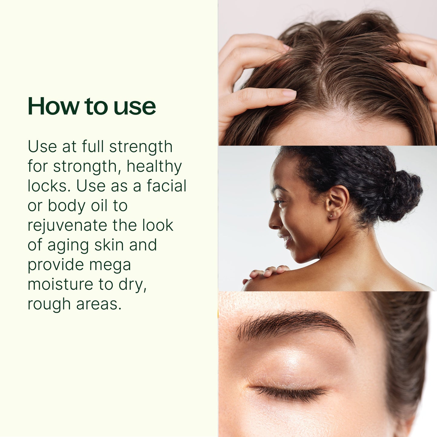 Plant Therapy - Organic Argan Carrier Oil